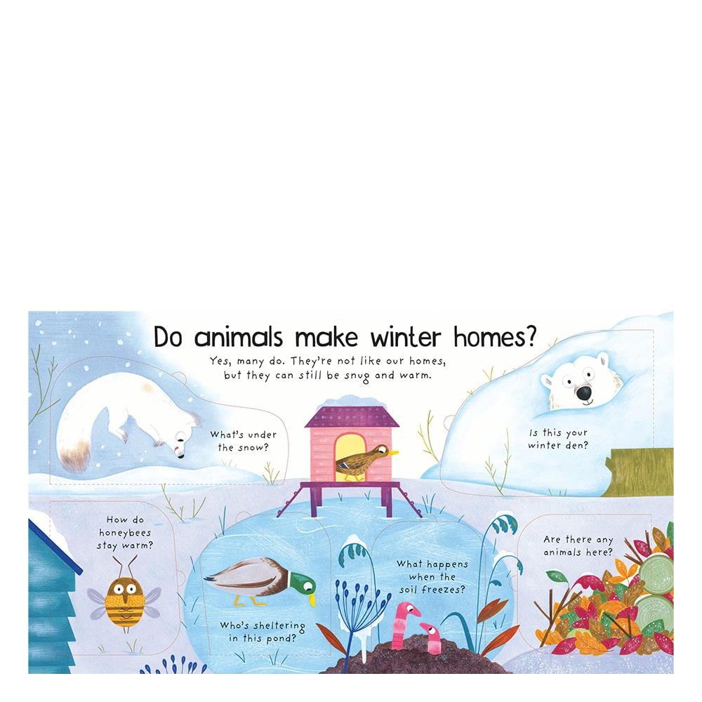 Where Do Animals Go in Winter Çocuk Kitapları Uzmanı - Children's Books Expert