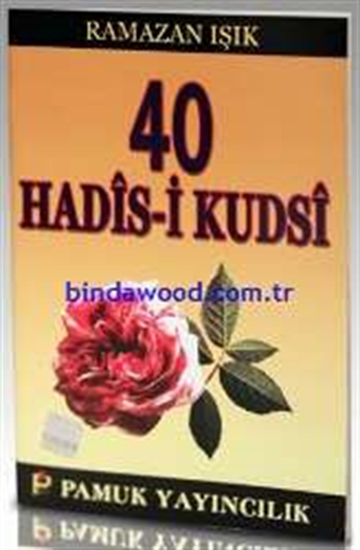 Kırk Hadisi Kudsi Ramazan Işık Hadis 013