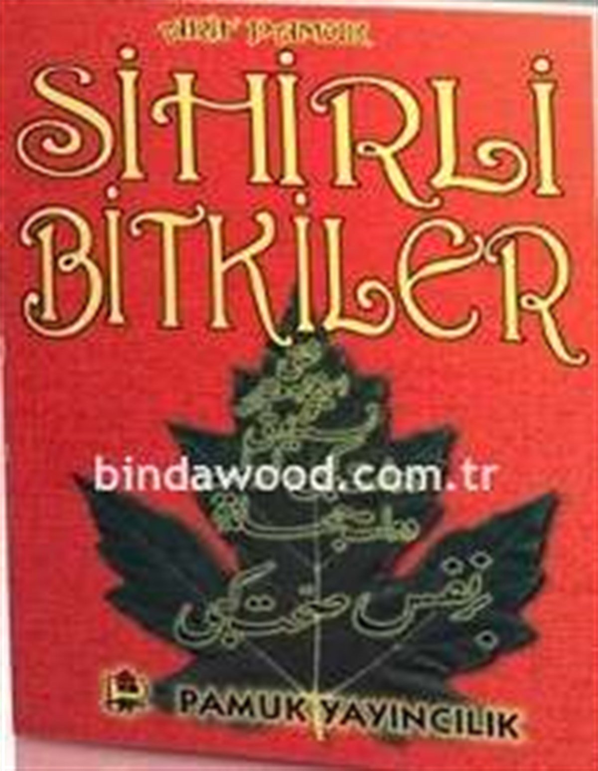 Sihirli Bitkiler Arif Pamuk Bitki 011
