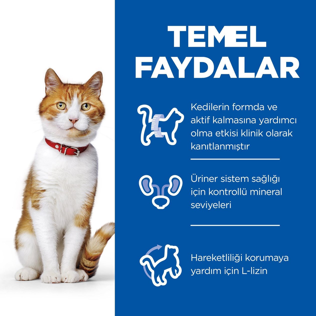 Hill's SCIENCE PLAN Sterilised Yetişkin Ton Balıklı Kedi Maması 15 Kg