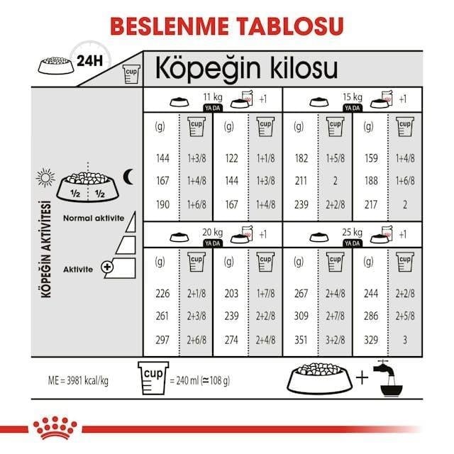 Royal Canin Dermacomfort Medium Yetişkin Köpek Maması 12 Kg