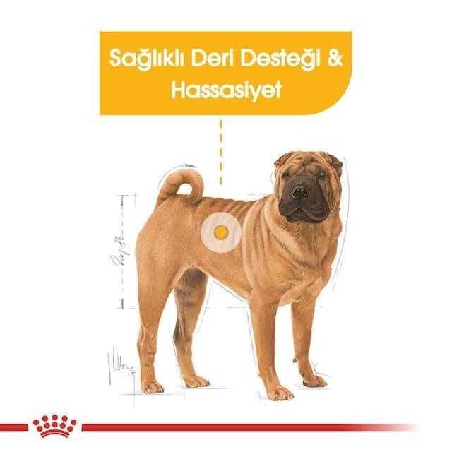 Royal Canin Dermacomfort Medium Yetişkin Köpek Maması 12 Kg