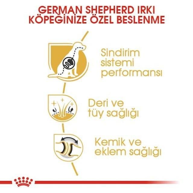 Royal Canin German Shepherd Yetişkin Alman Çoban Köpeği Maması 11 Kg