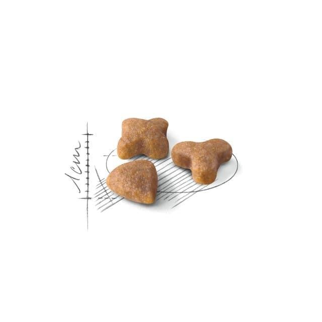 Royal Canin Sensible 33 Hassas Yetişkin Kedi Maması 4 Kg