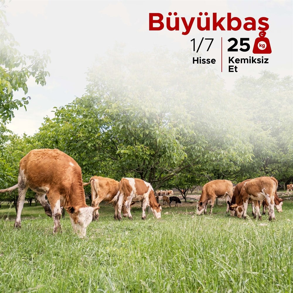 Büyükbaş Kurban Paketi