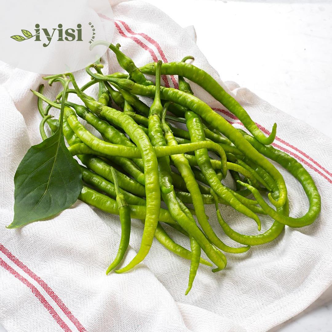 Organik Kıl Sivri Biber