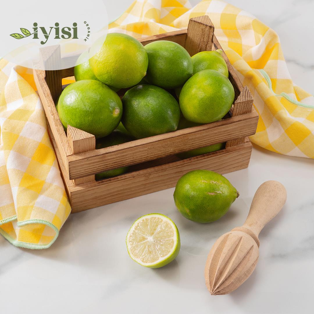 Organik Mayer Limon