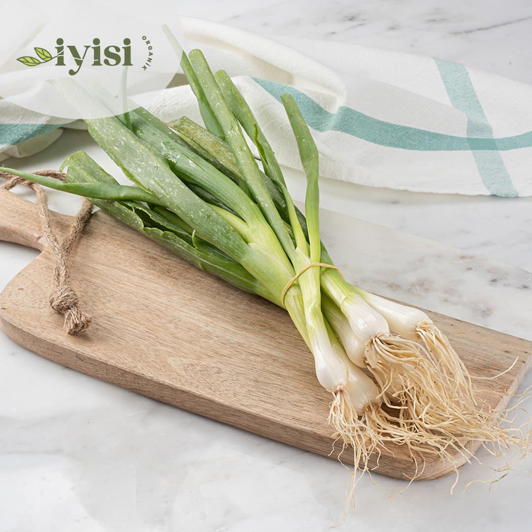 Yeşil Soğan