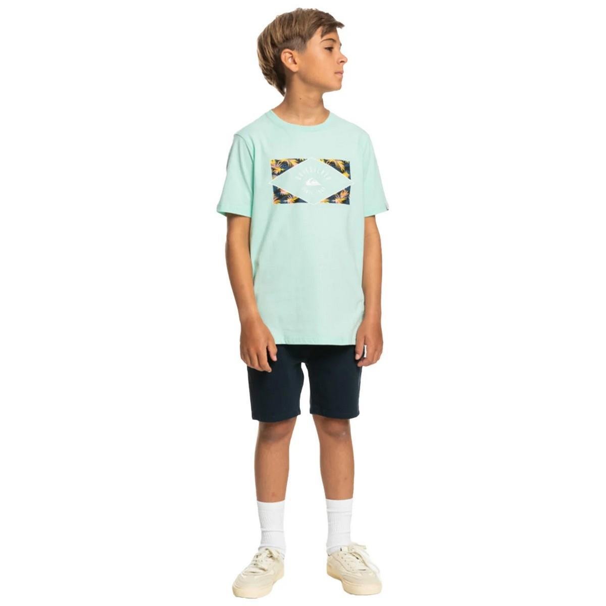Quiksilver EQBZT04590 Circledline B Tees Erkek Çocuk Tişört