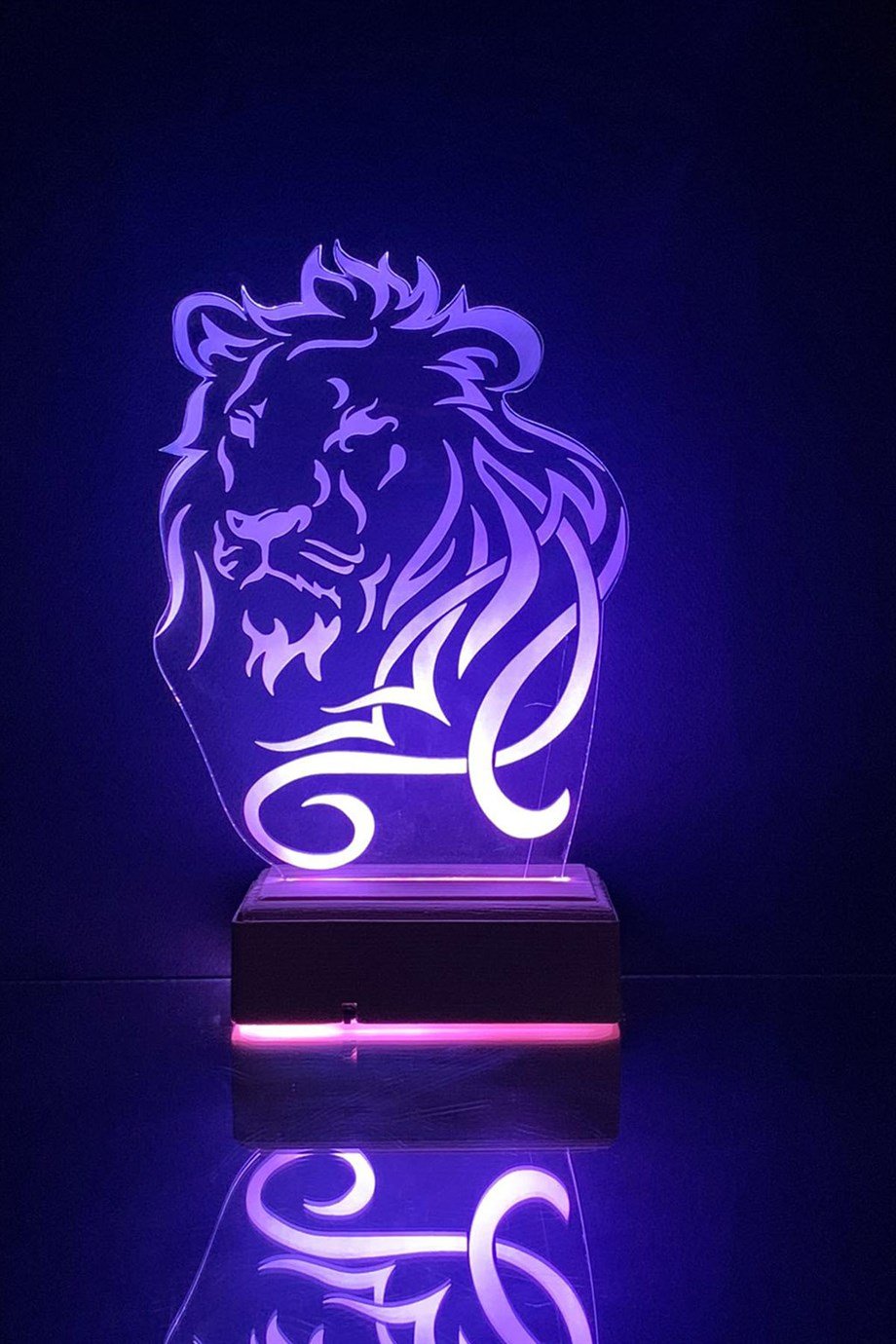 ASLAN 3D 16 Renk Gece Lambası
