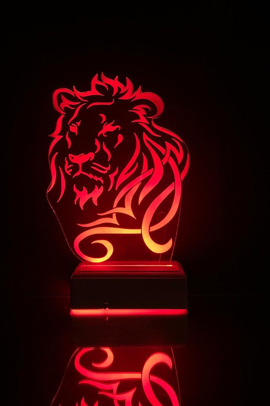 ASLAN 3D 16 Renk Gece Lambası