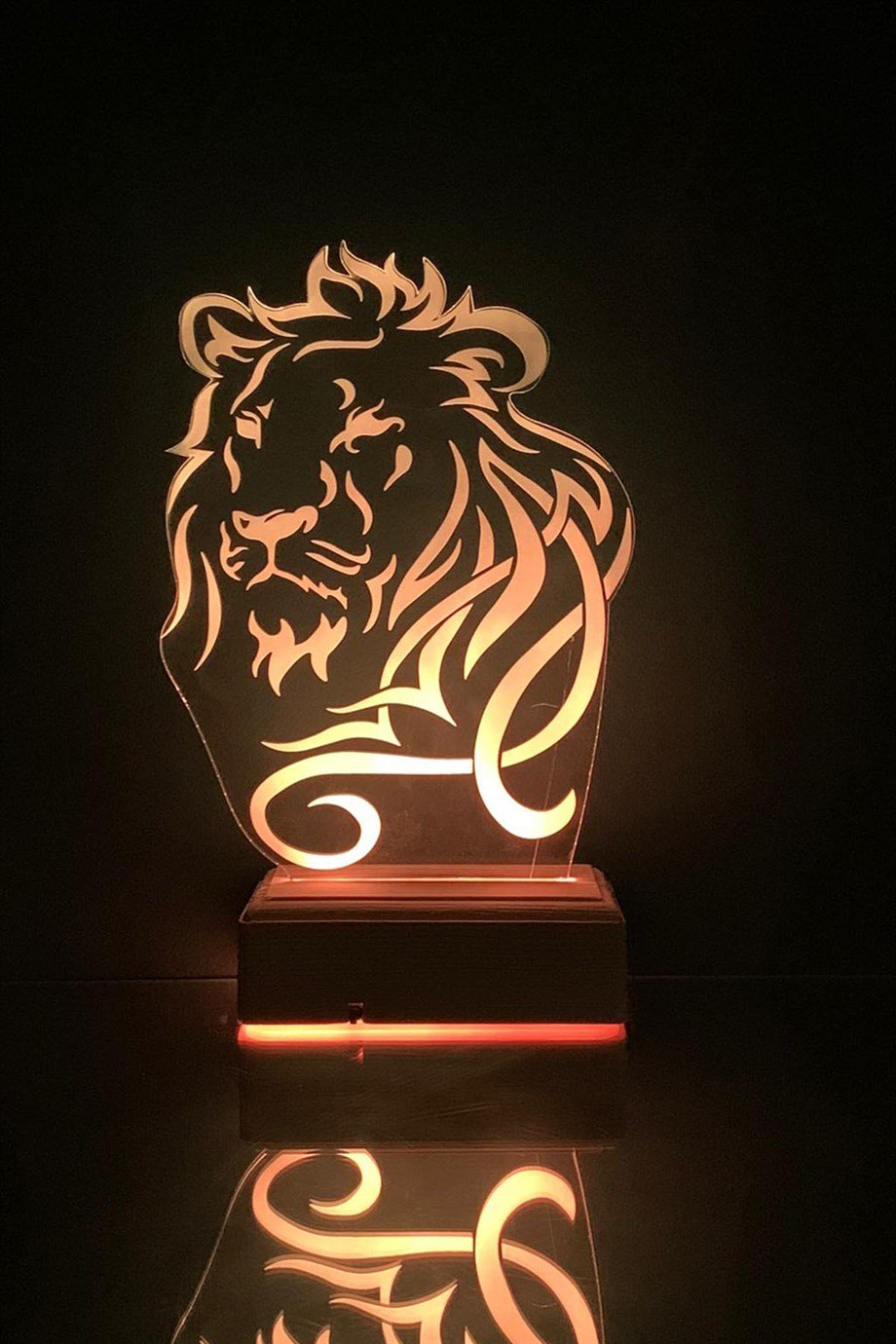 ASLAN 3D 16 Renk Gece Lambası