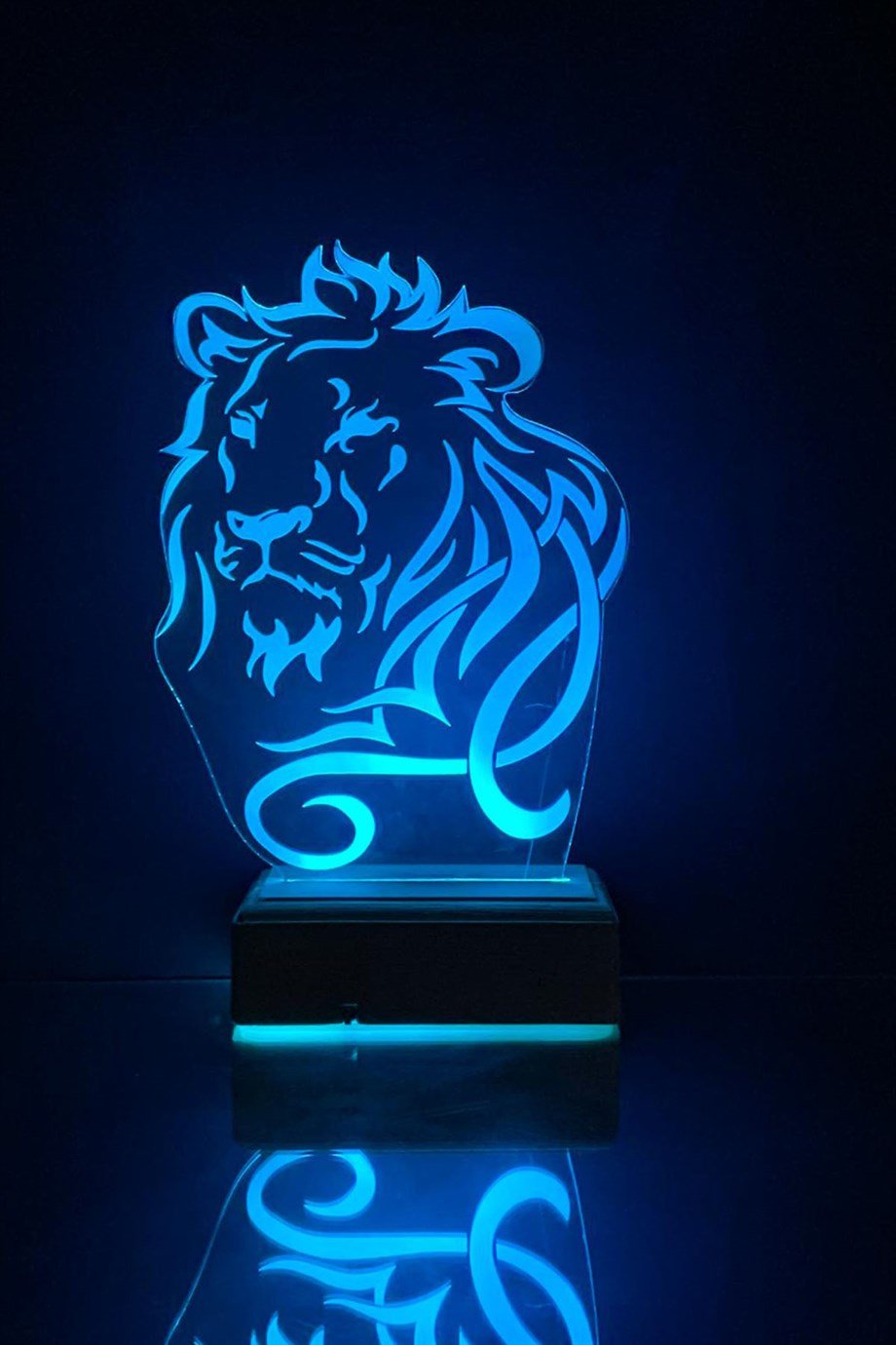 ASLAN 3D 16 Renk Gece Lambası