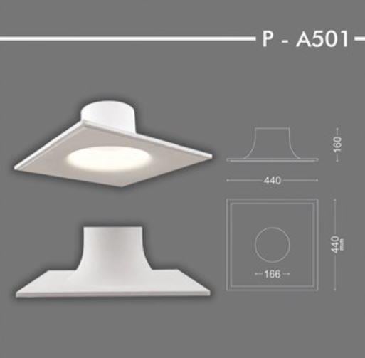 A501