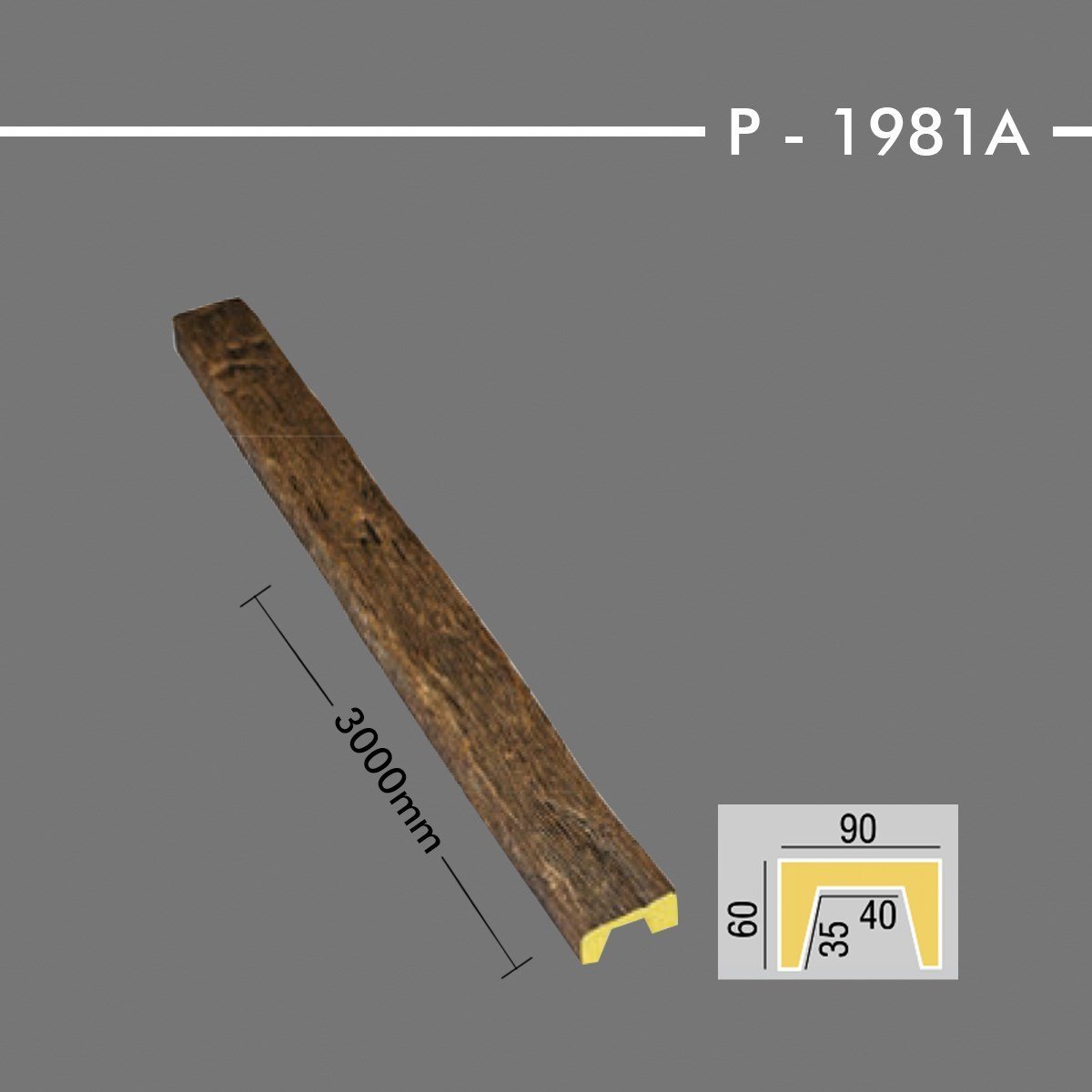 KİRİŞ P-1981A