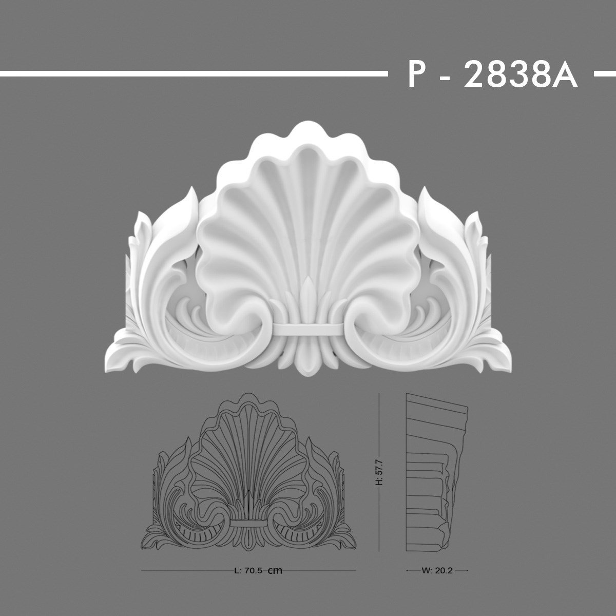 P-2838A Taç