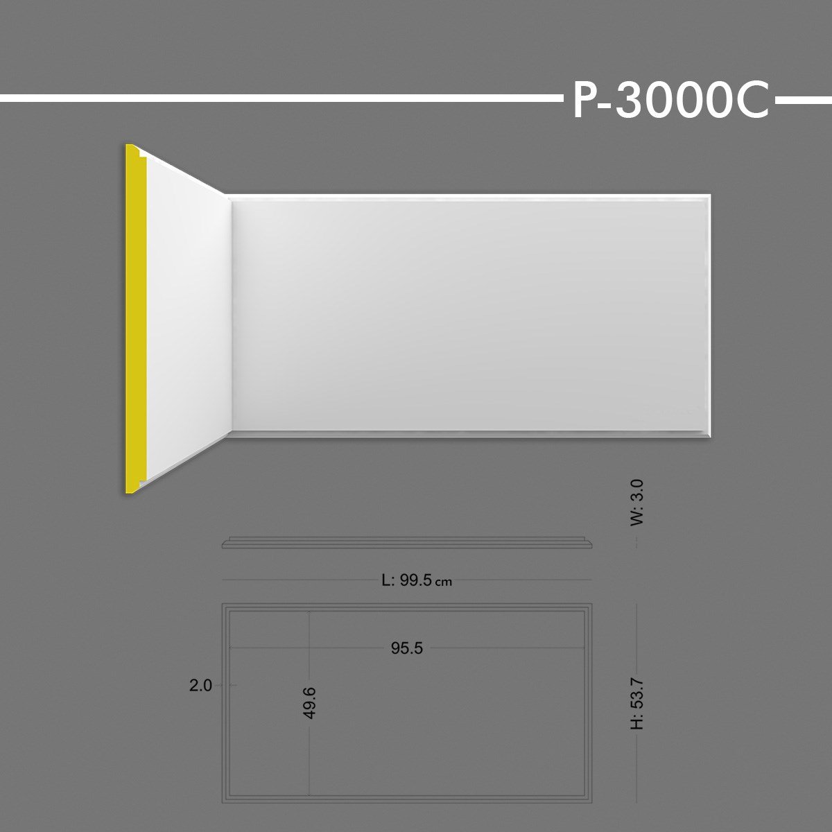 P-3000C Panel