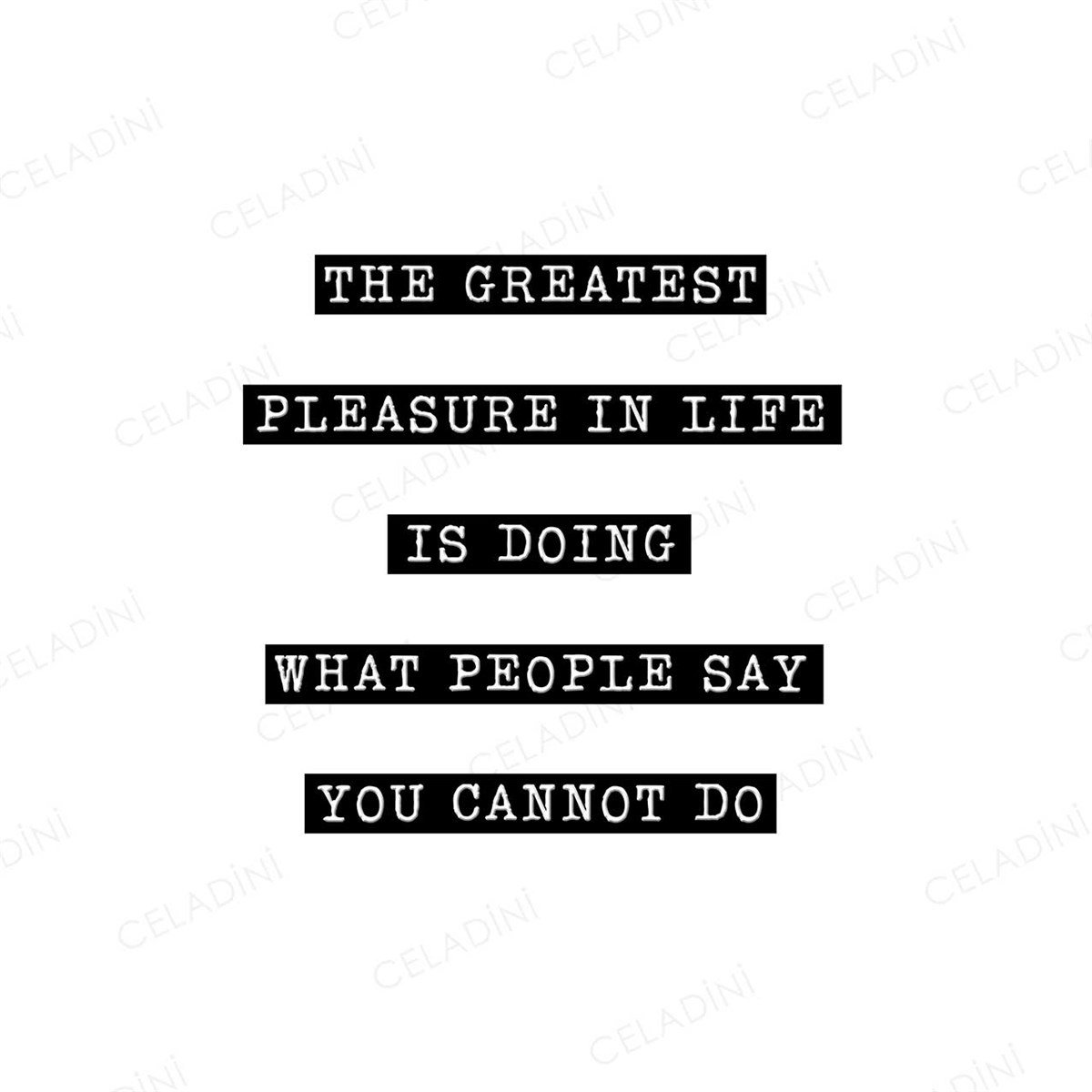 The Greatest Pleasure in Life Yazılı Kırlent Kumaşı