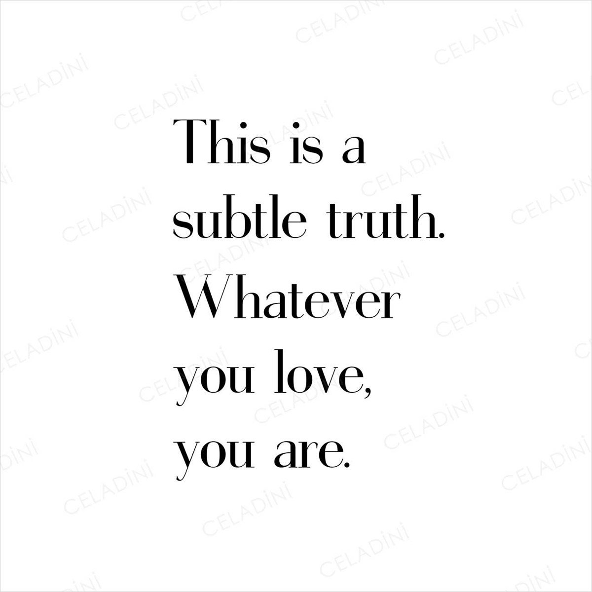This is a Subtle Truth Yazılı Kırlent Kumaşı