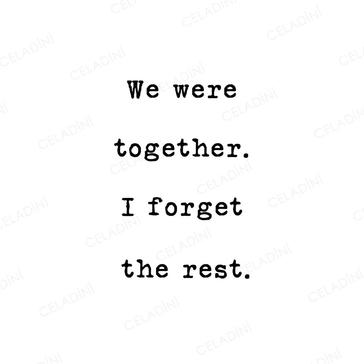 We were together. I forget the rest. Kırlent Kumaşı