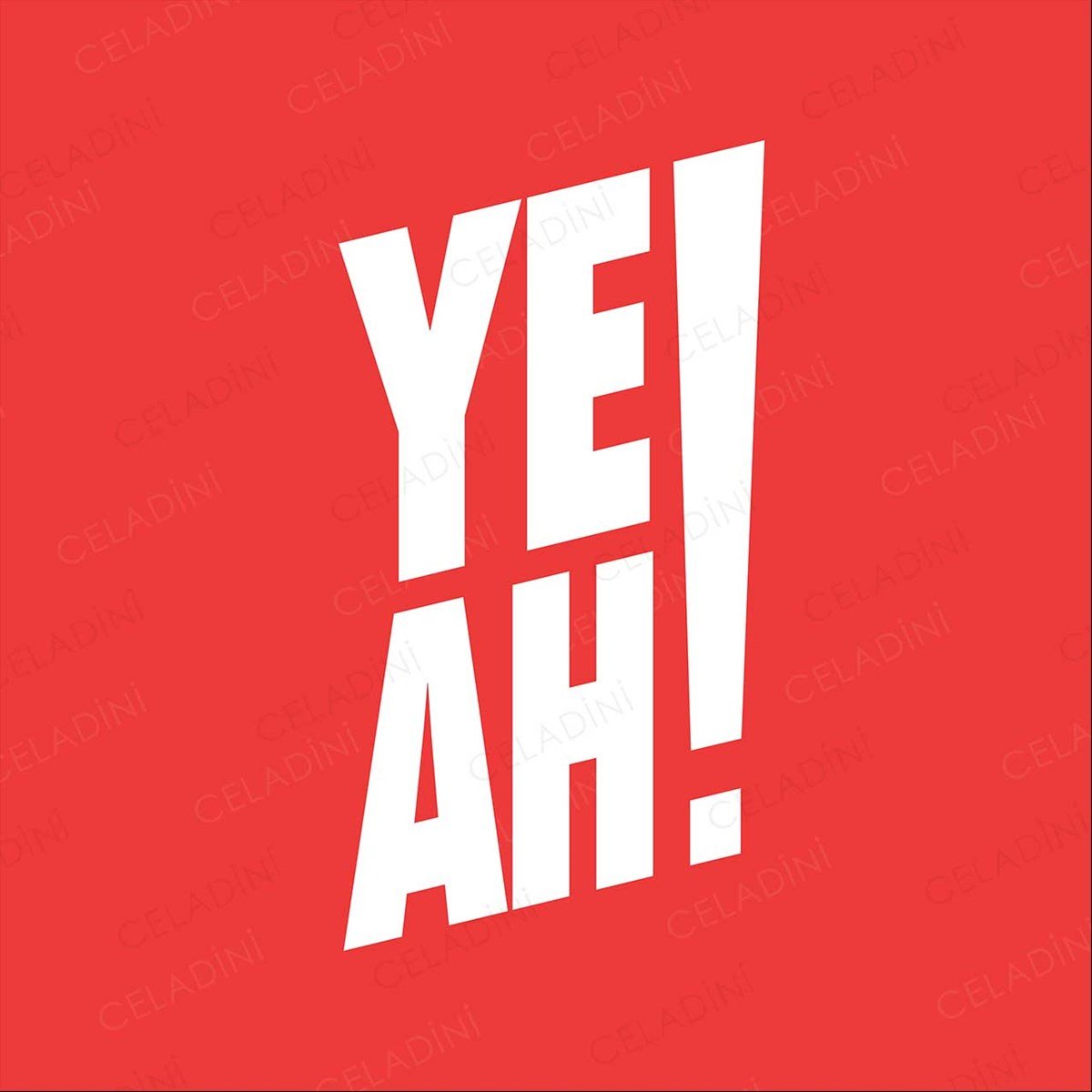 Yeah ! Yazılı Kırlent Kumaşı