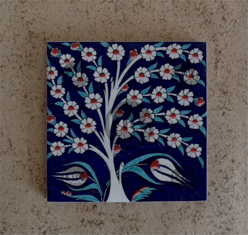20 X 20 Çini Karo Katalog Kodu RR8