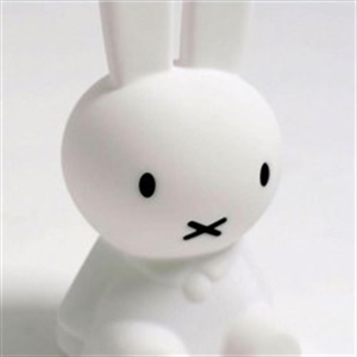 Mr Maria-Miffy Lamba First Light