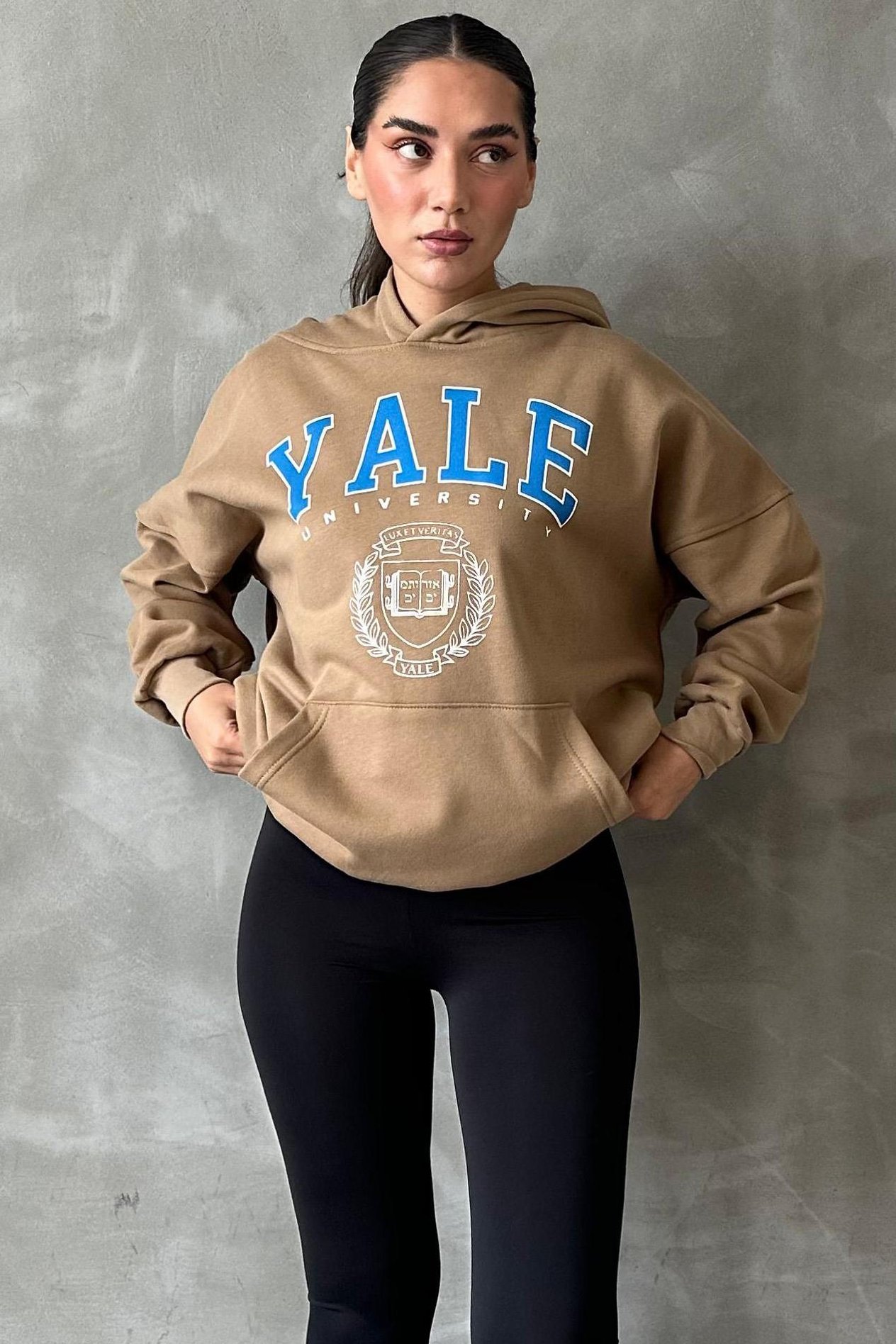 Vizon Oversize Kapüşonlu Kadın Sweatshirt SH129