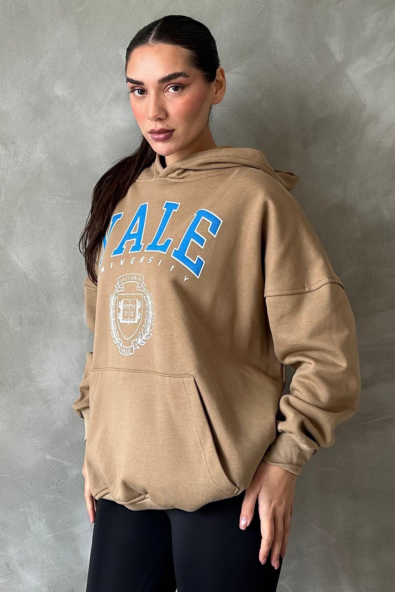Vizon Oversize Kapüşonlu Kadın Sweatshirt SH129