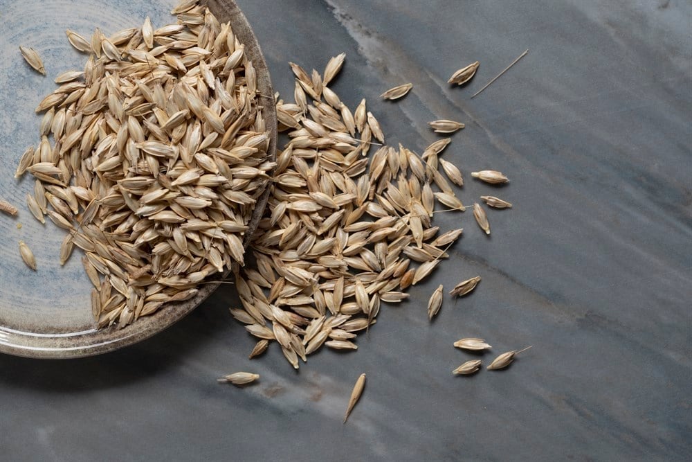 KASTAMONU SİYEZ BUĞDAYI ( KAVUZLU) 1KG