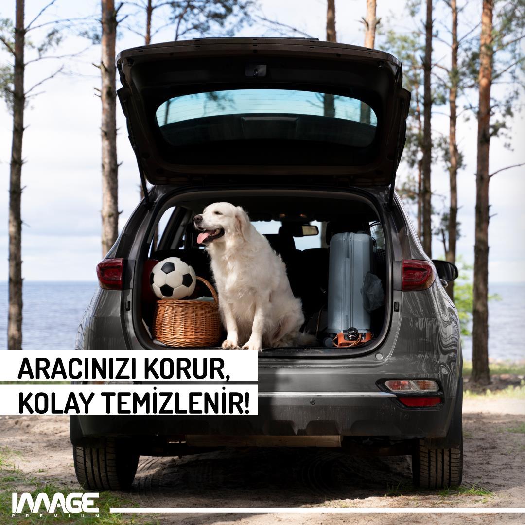 imagearaca-ozel-bagaj-havuzucitroen-e--96-4e5.jpg