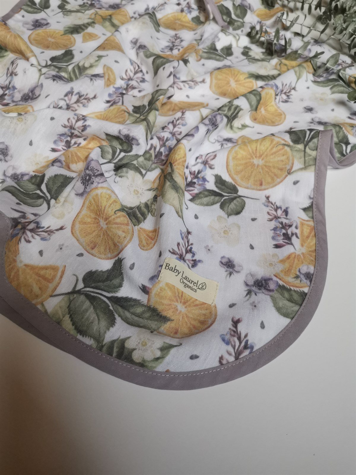 ORANGE ON BRANCH-Organik Panço 55x55