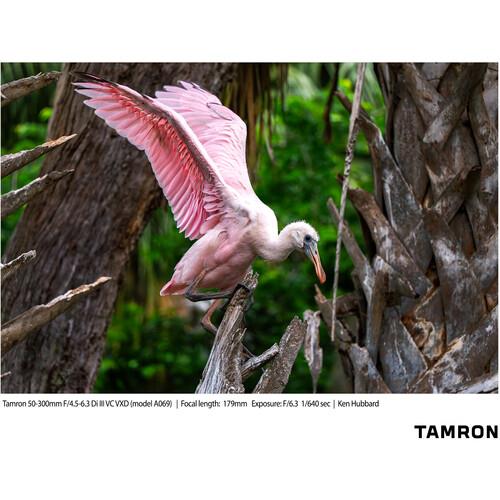 Tamron 50-300mm f/4.5-6.3 Di III VC VXD Lens (Sony E)