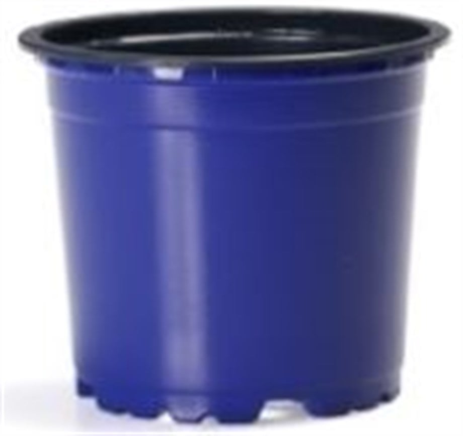 VCG 10.5 KOYU MAVİ 10 adet
