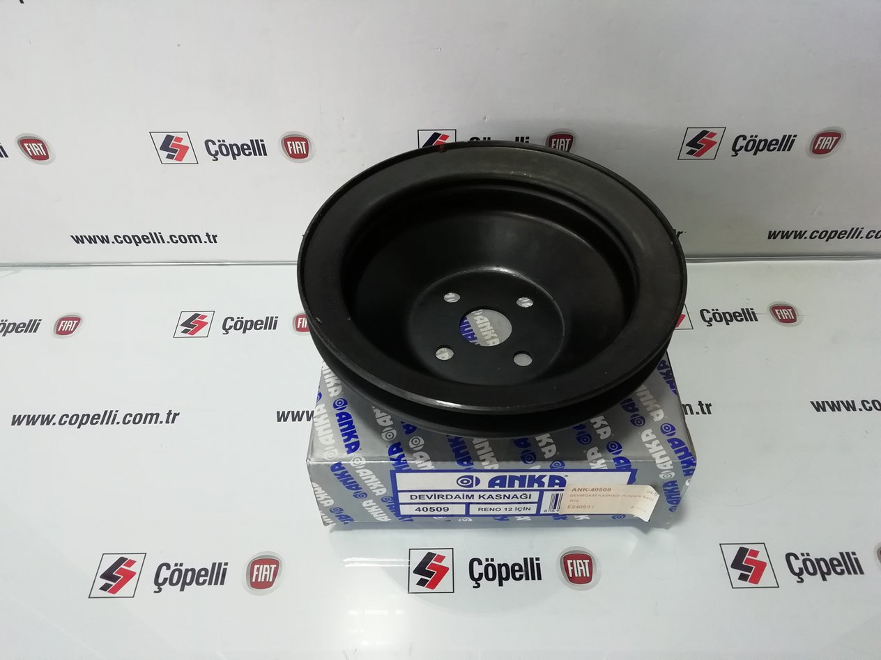 ANK-40509 - DEVIRDAIM KASNAGI (YEKPARE SAC) R12 7700507525 / ANKA