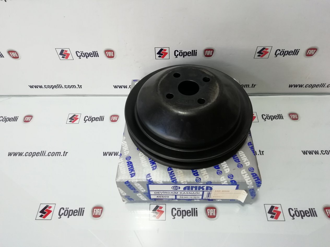 ANK-40509 - DEVIRDAIM KASNAGI (YEKPARE SAC) R12 7700507525 / ANKA