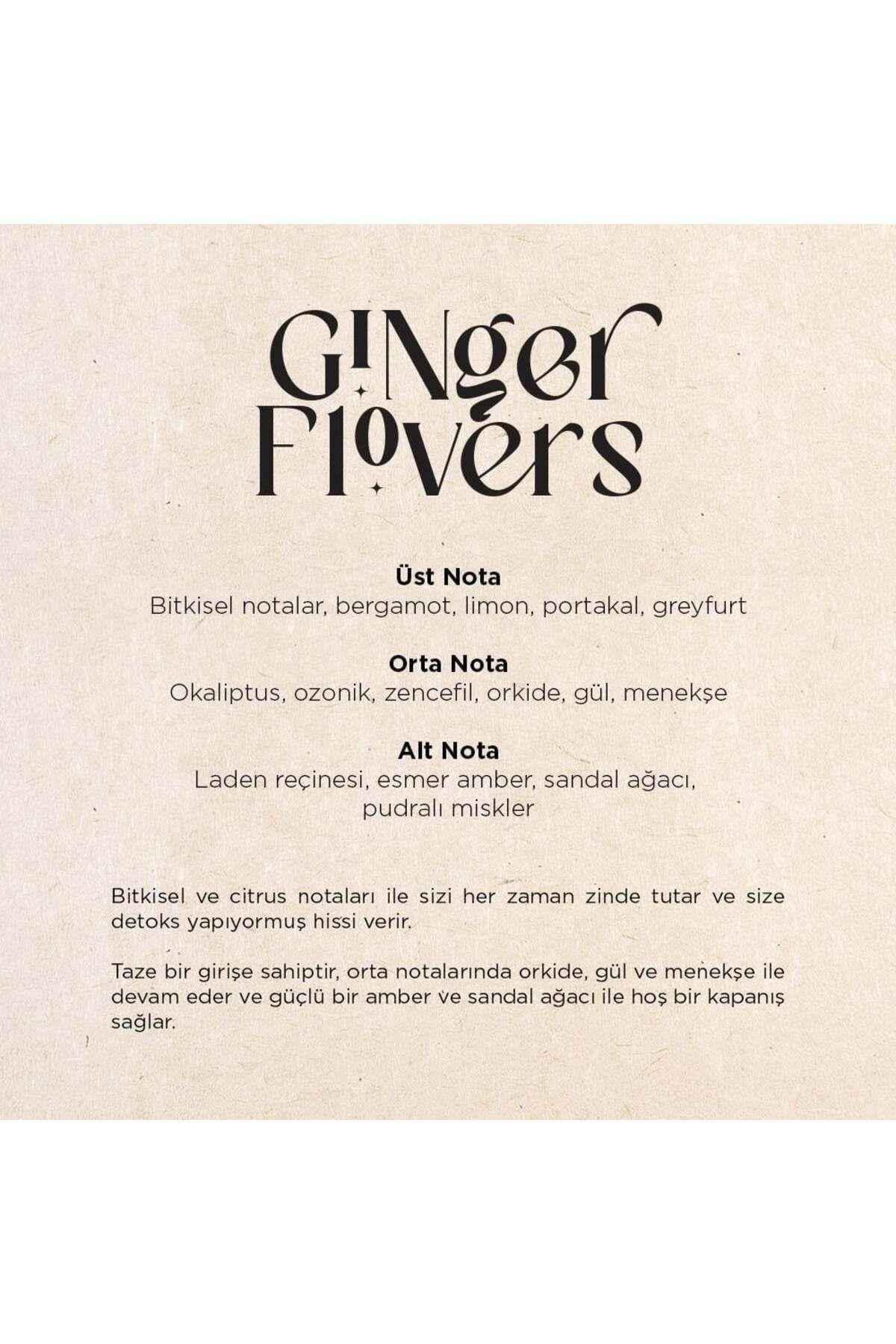 CARPEX A1 Eco Geniş Alan Koku Makinesi ve Ginger Flowers A1 Koku Kartuşu 200 ML Seti
