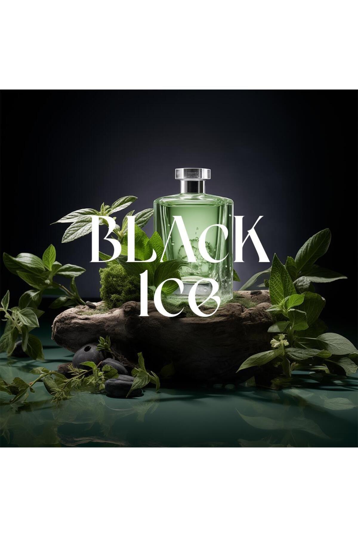 CARPEX Black Ice Auramax Koku Kartuşu 250 ML