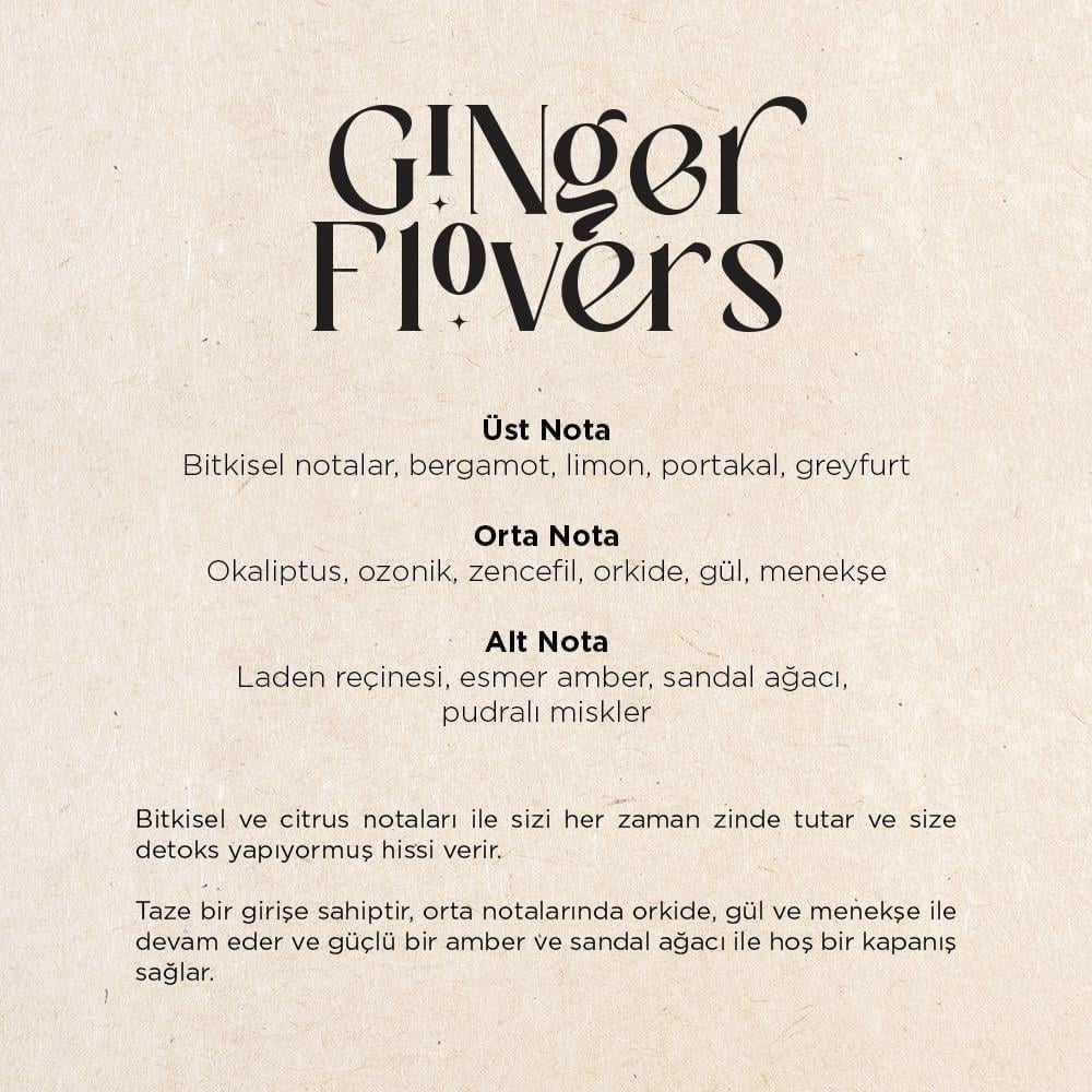 CARPEX E2 Power Eco Koku Makinesi ve Ginger Flowers E2 Power Koku Kartuşu 125 ML Seti