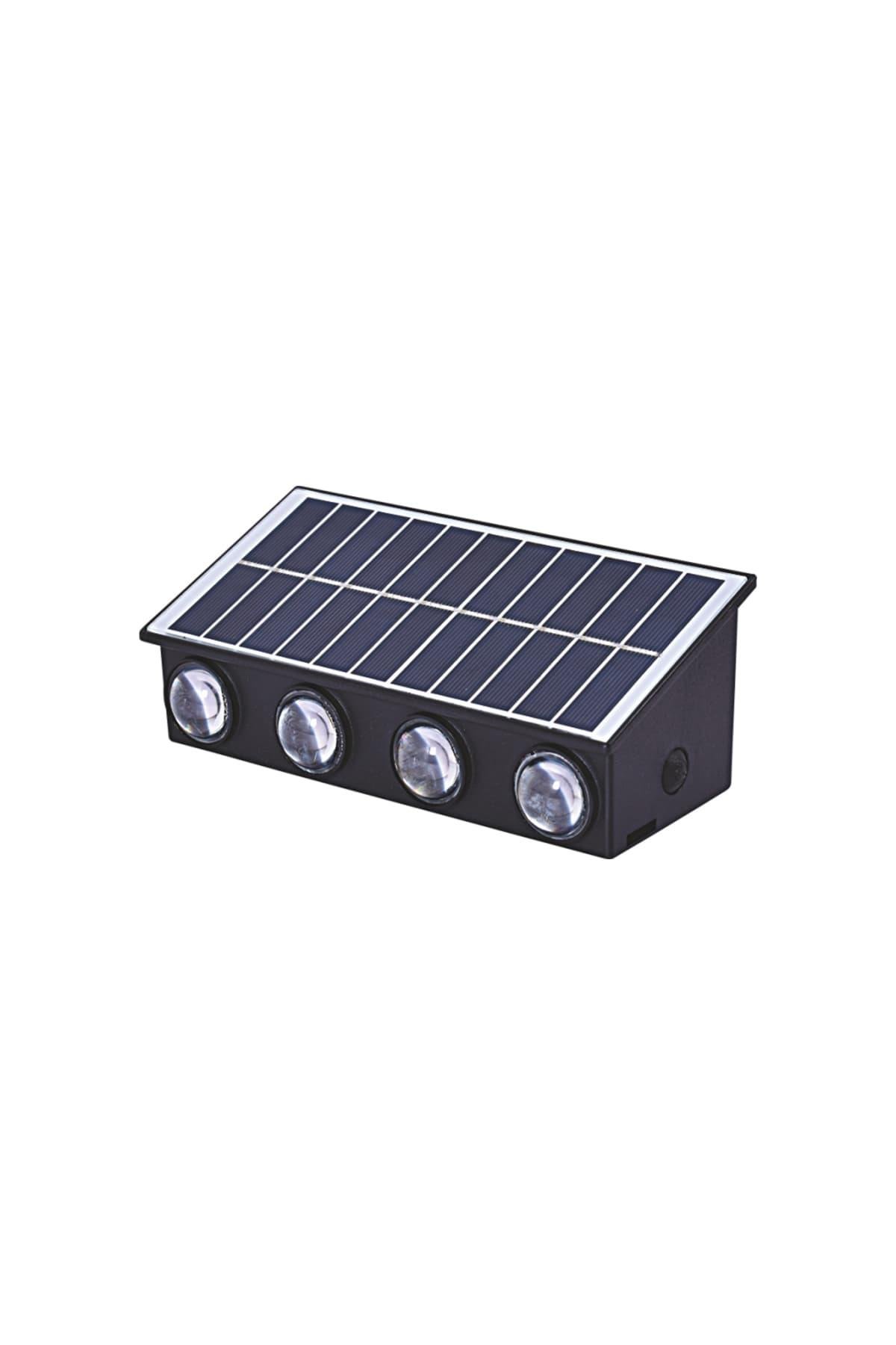 CATA-CT-8010