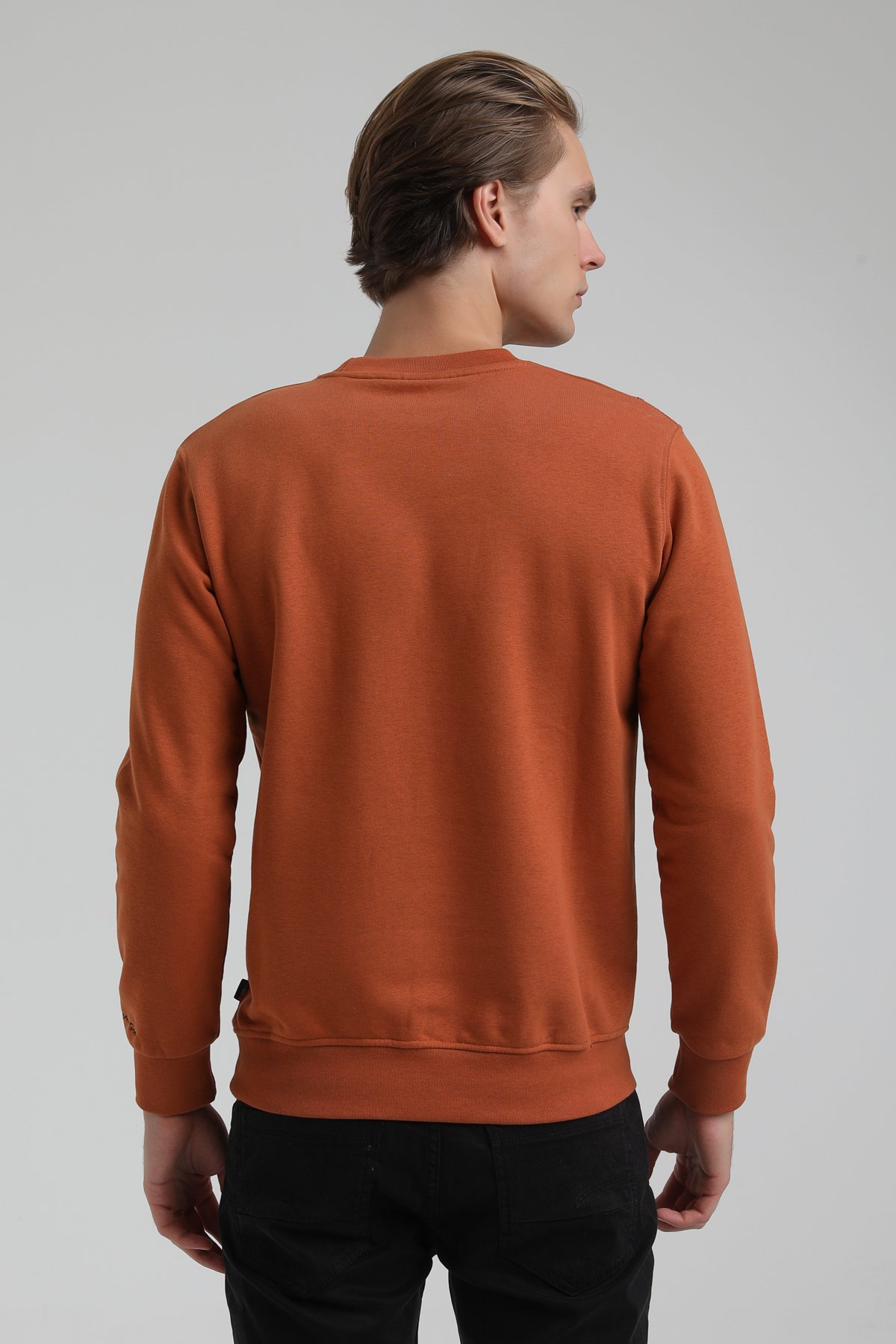 New World Polo Bisiklet Yaka Kiremit Regular Sweatshirt 22FWM60125