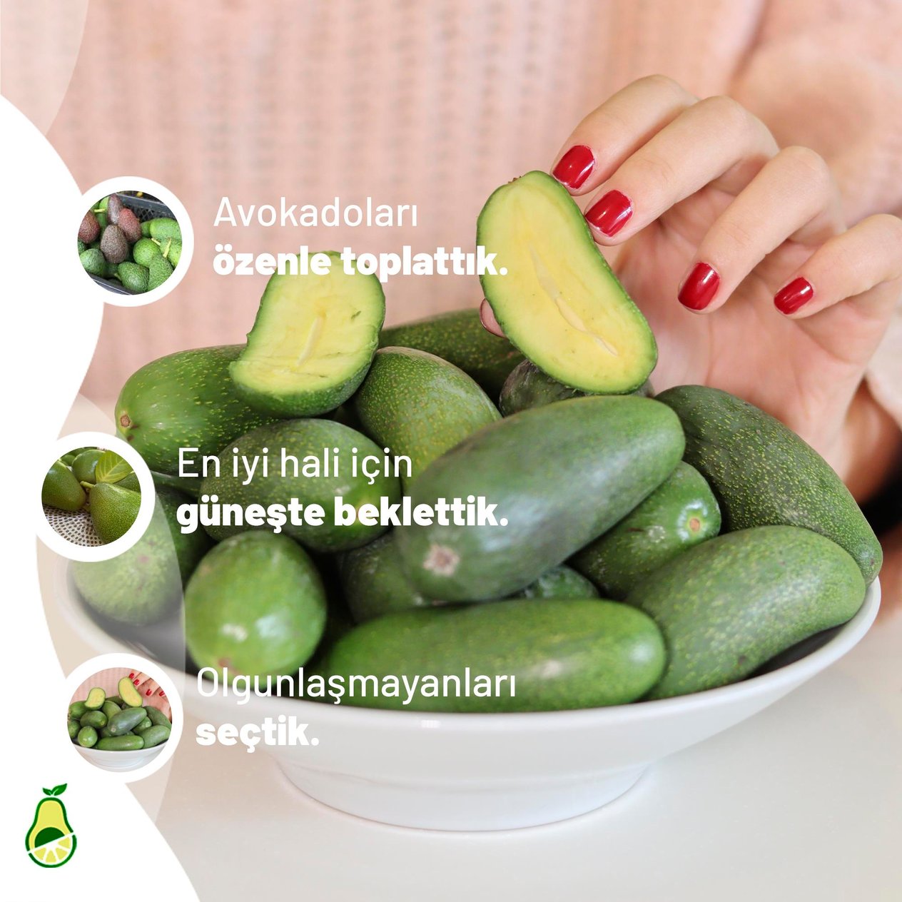 Mevsimlik ÜrünlerLİVOKADOBEBEK AVOKADO 500GR.