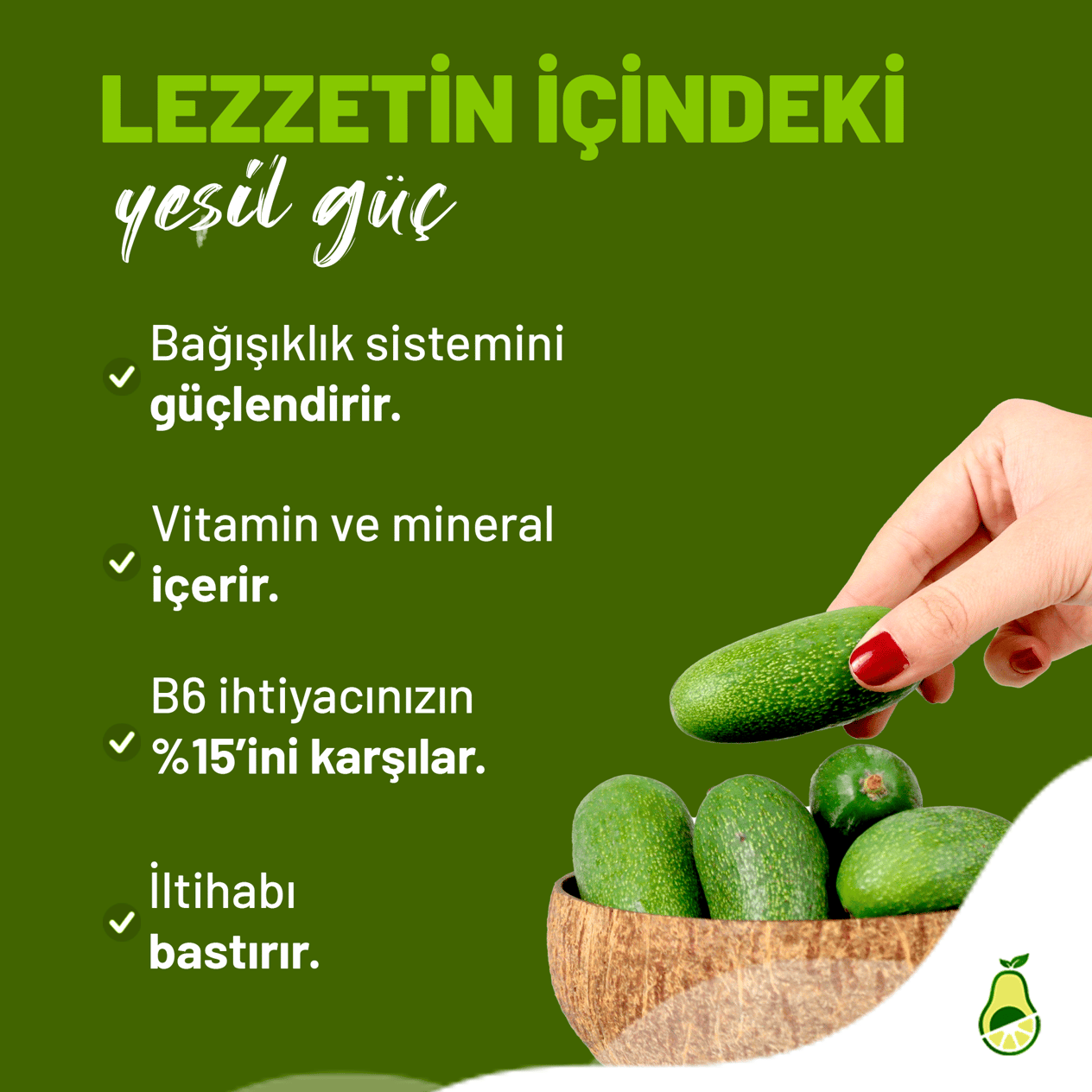 Mevsimlik ÜrünlerLİVOKADOBEBEK AVOKADO 500GR.