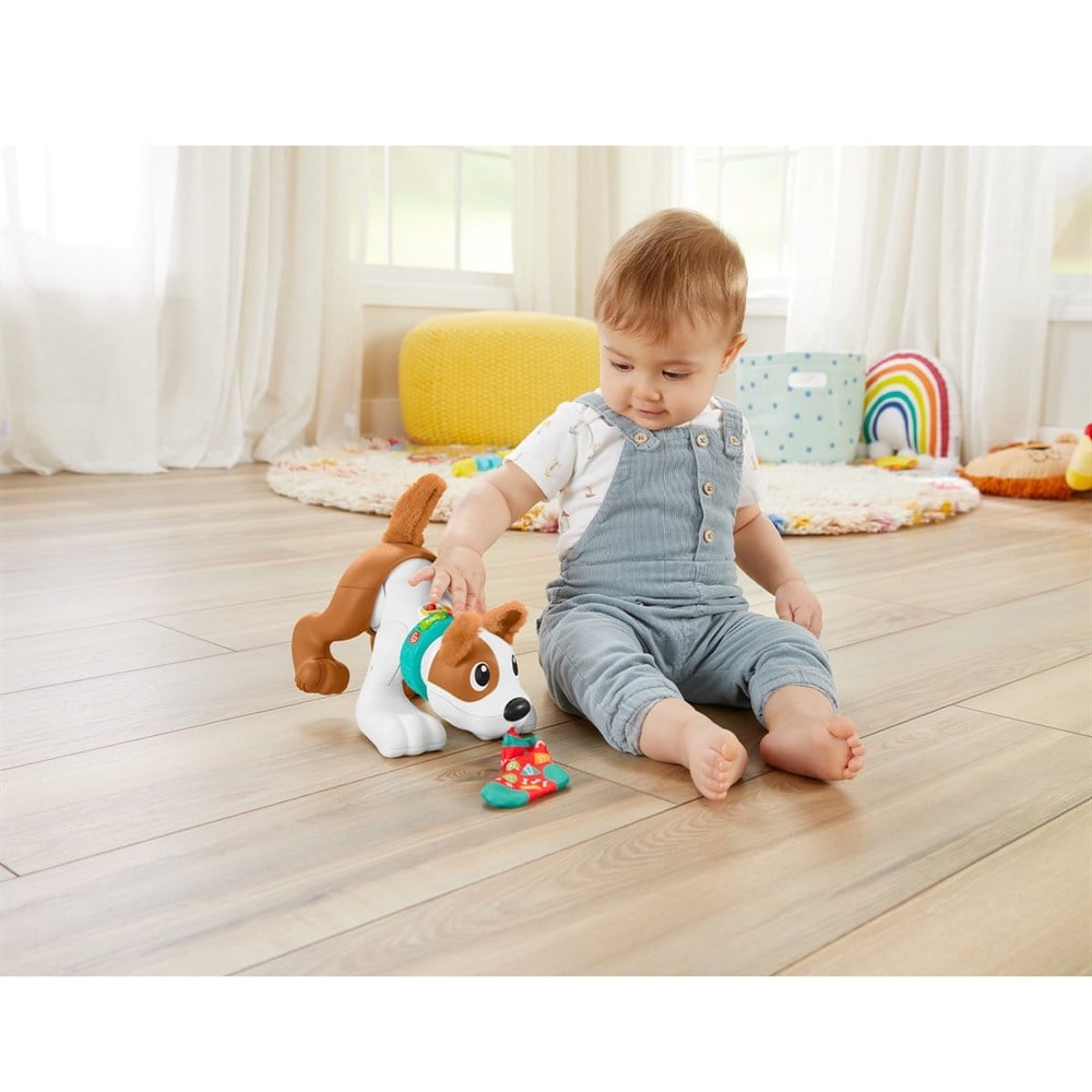 HHH13 Fisher Price, Emeklemeyi ve Saymayı Öğreten Köpekçik