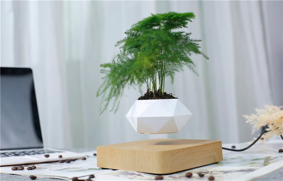 Flytoone Floating Pot Uçan Bitki Saksısı Manyetik Levitasyon