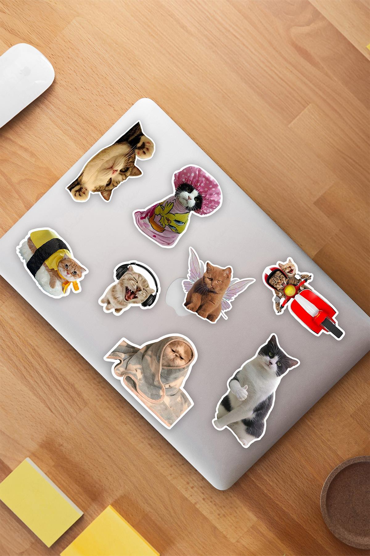 Sevimli Kediler Temalı Eğlenceli Laptop Telefon Termos Kask Motor Ayakkabı Defter Ajanda Sticker Seti