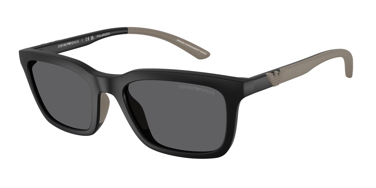 EMPORIO ARMANI 4249U 500181 55 Erkek Güneş Gözlüğü