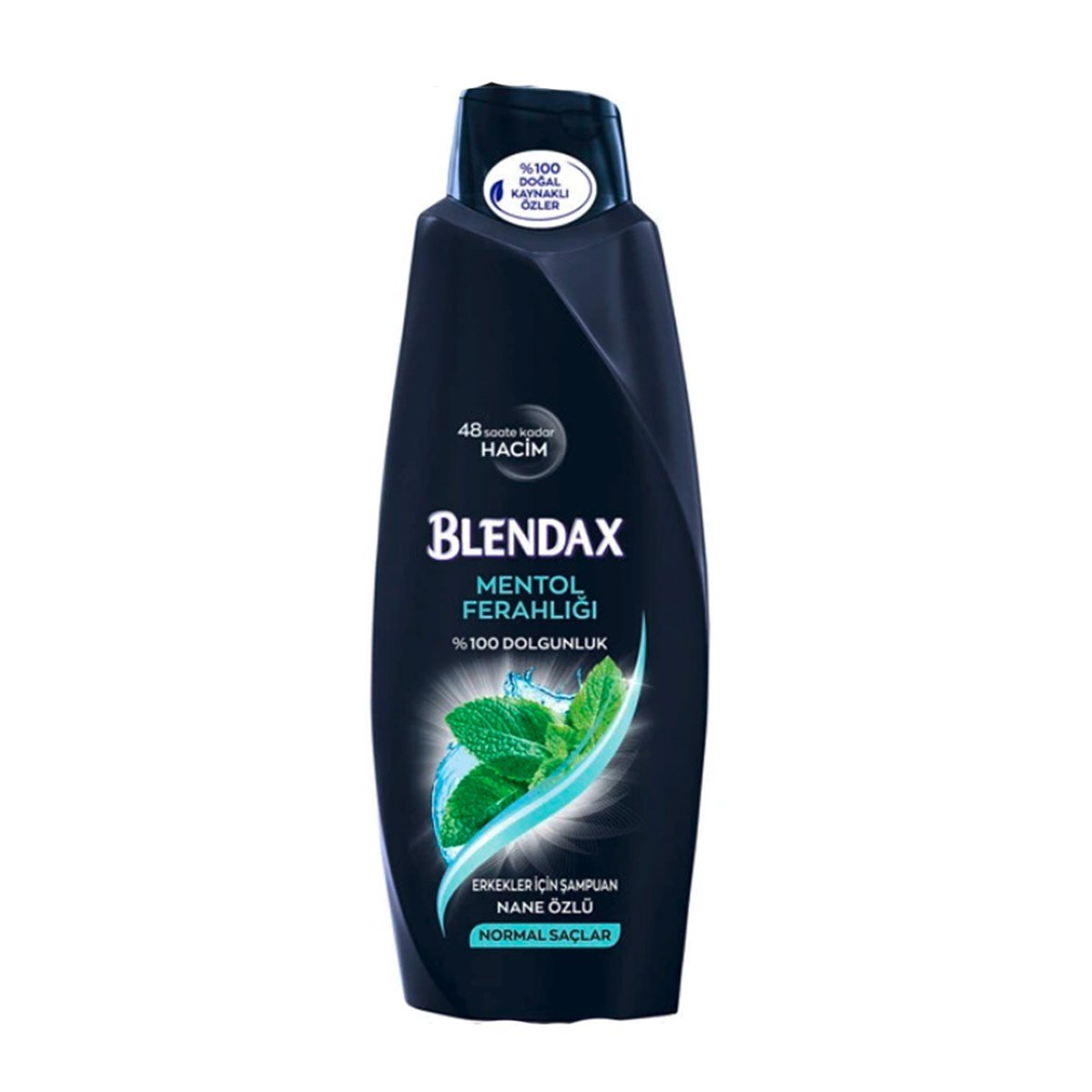 Blendax Şampuan Mentol Ferahlığı Erkekler İçin 500ml
