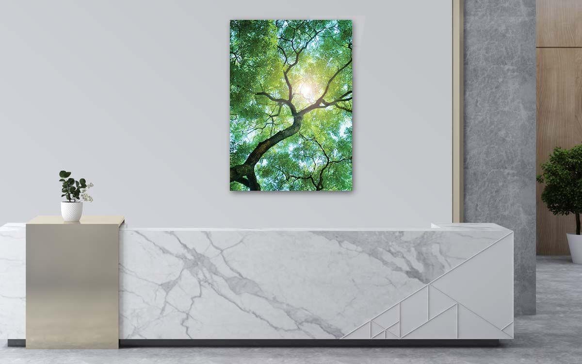 Tempered Glasss Wall Arts Natured-Themed