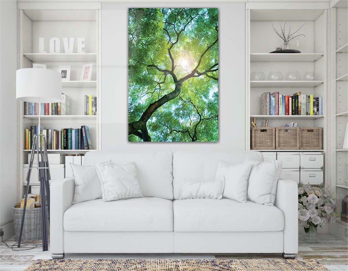 Tempered Glasss Wall Arts Natured-Themed